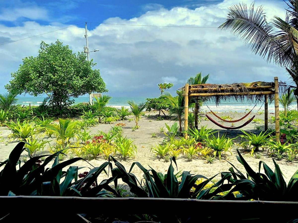 Seaside Garden Ecolodge Mompiche Exteriör bild