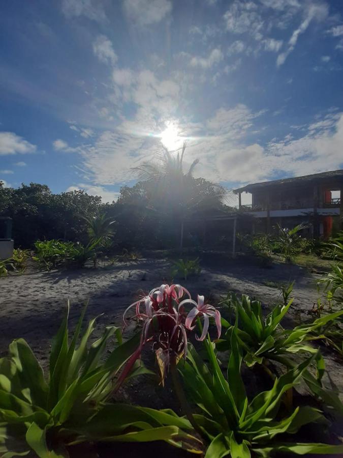 Seaside Garden Ecolodge Mompiche Exteriör bild